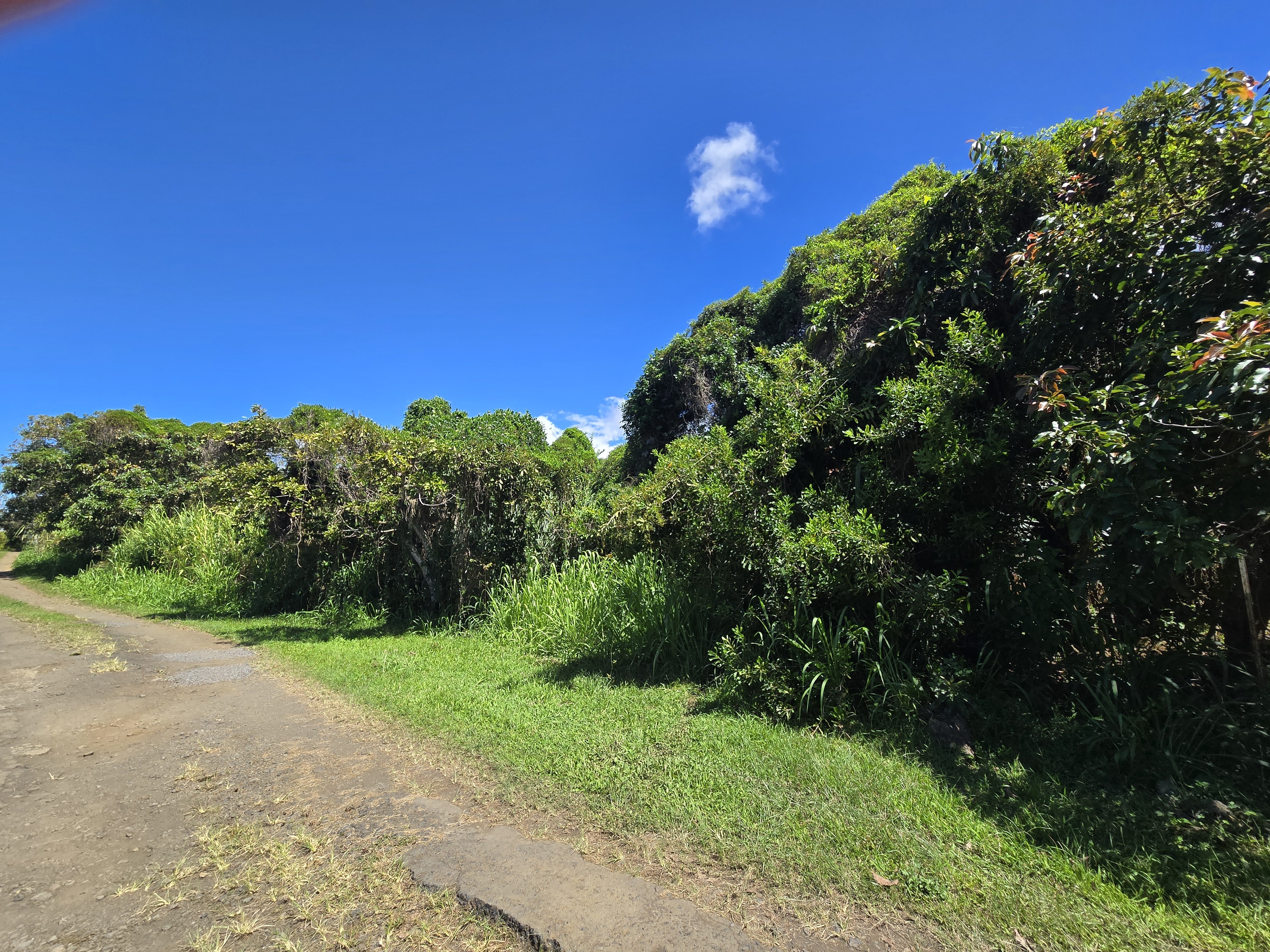 Property Photo:  Kealakekua Village  HI 96750 