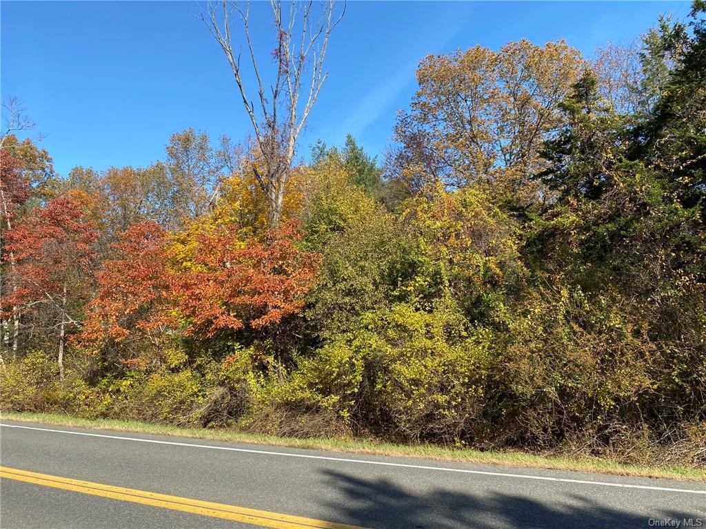 Property Photo: Beaver Rd (Jackson Crs) NY 12571
