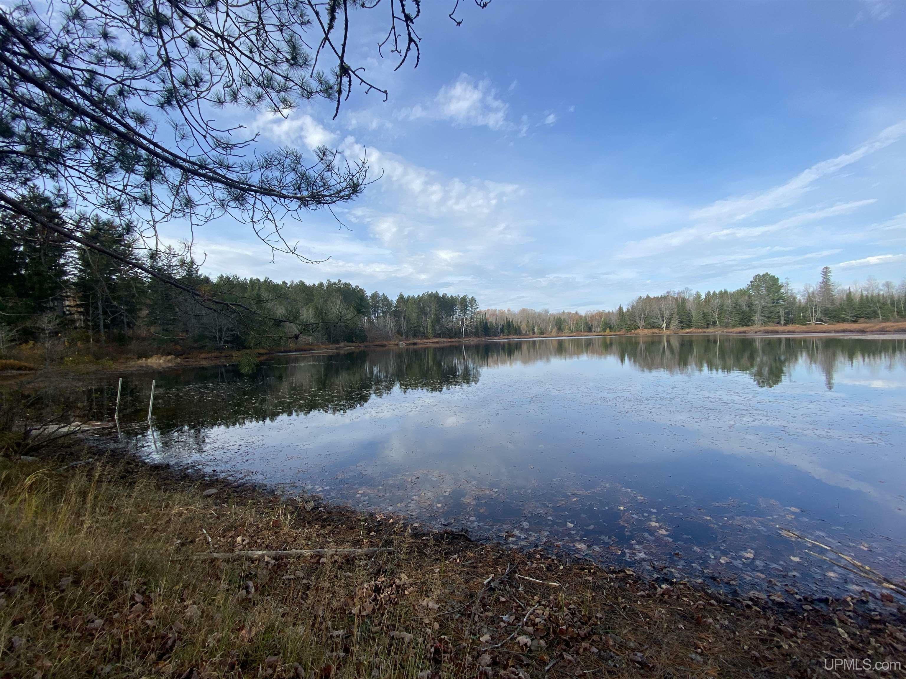 Property Photo:  34488 Bergland Road  MI 49947-1111 