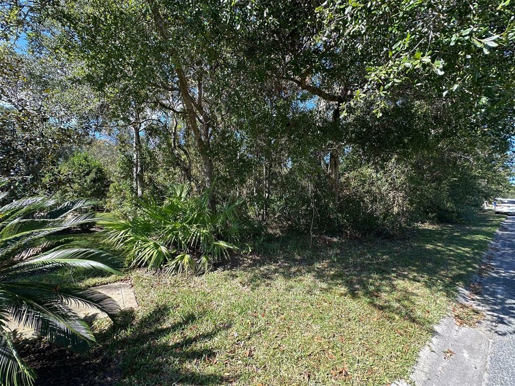 Property Photo:  96037 Sail Wind Way  FL 32097 