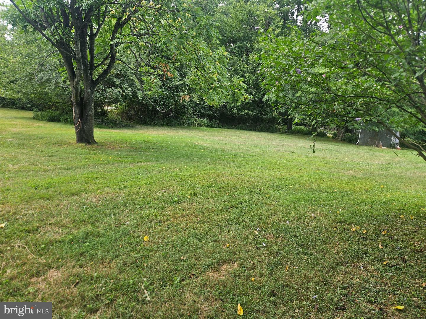 Property Photo:  313 W Central Avenue  PA 19355 