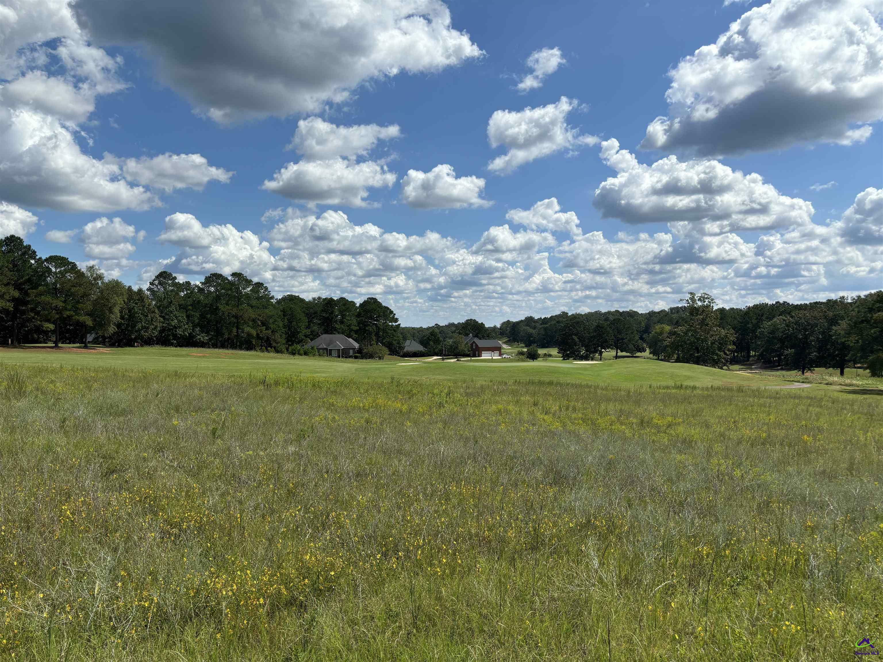 Property Photo:  Lot 16 Camden Way Southern Hills Plantation Golf Course  GA 31036 