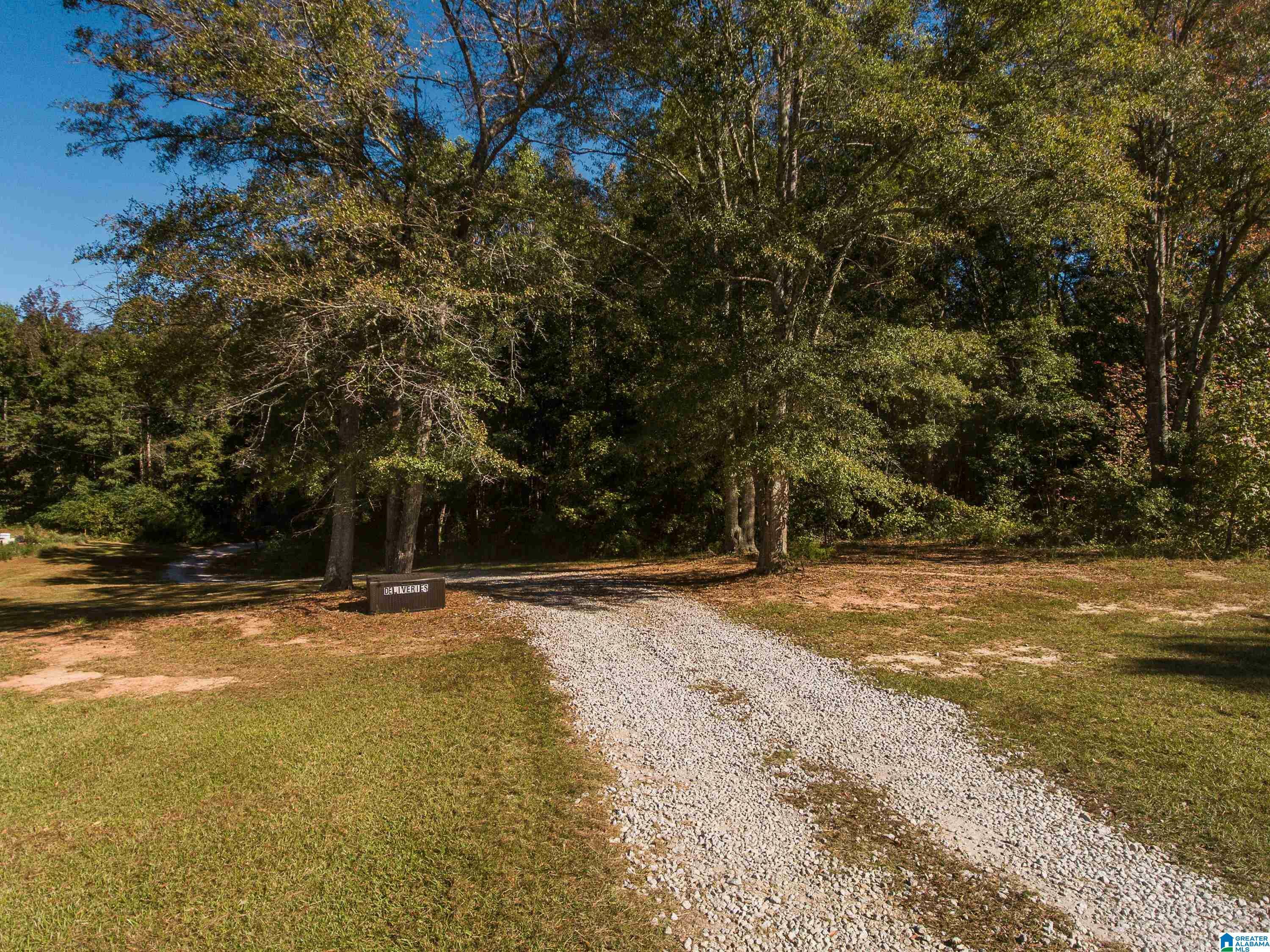 Property Photo:  431 County Road 30 431  AL 36274 