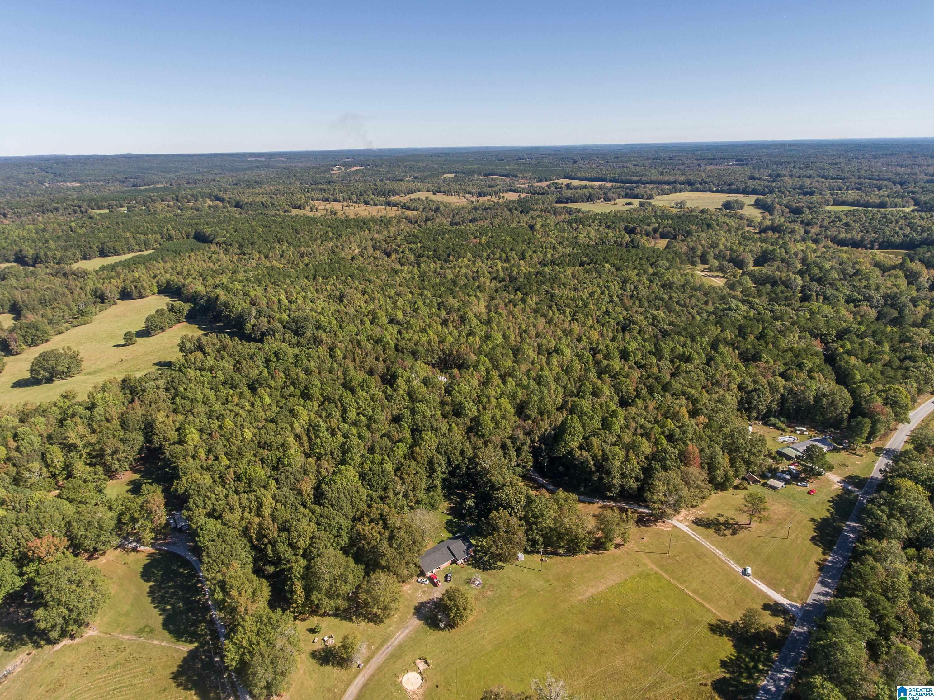 Property Photo: 431 County Road 30 431 AL 36274