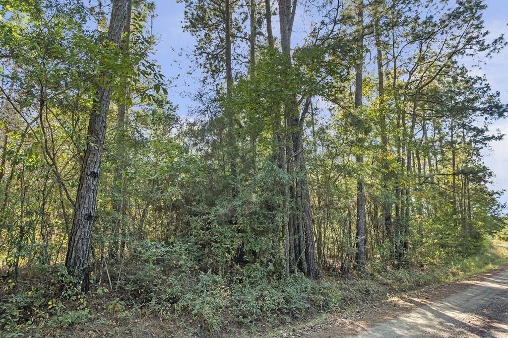 Property Photo:  R32307 Sandy Creek Road  TX 75980 