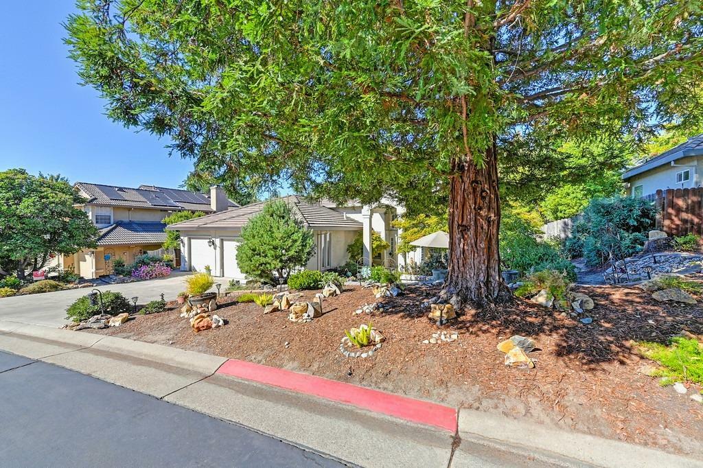 Property Photo:  5376 Hidden Glen Drive  CA 95677 