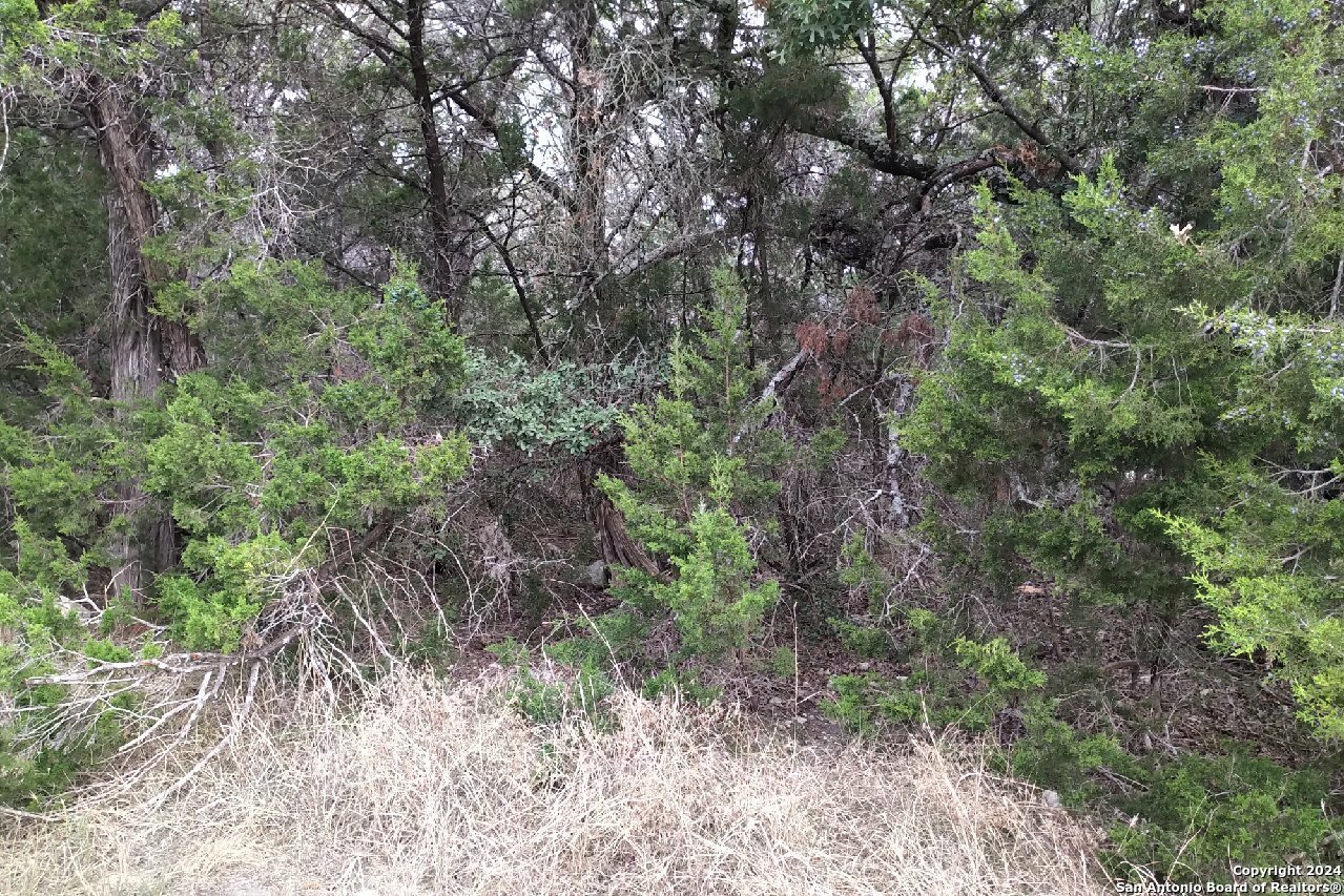 Property Photo:  355 Eagle Rock Rd  TX 78070 