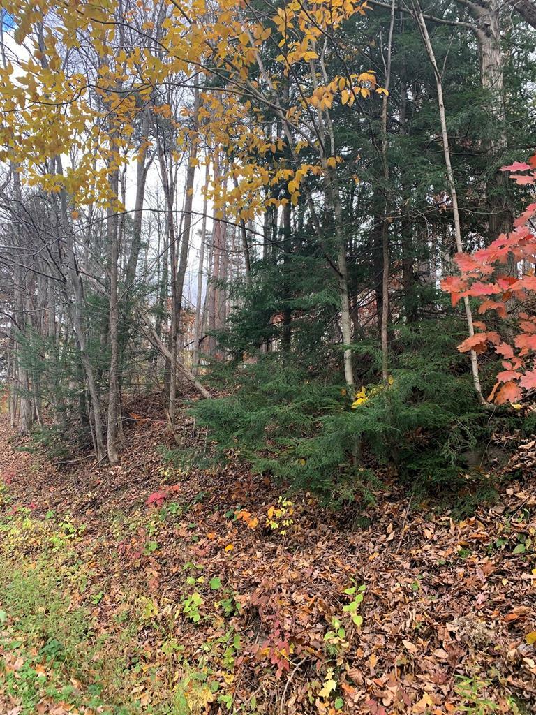 Property Photo:  0 0 Townsend Rd  NY 14891 