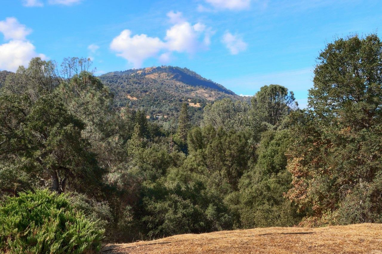 Property Photo:  38788 Goldenrod Lane  CA 93644 