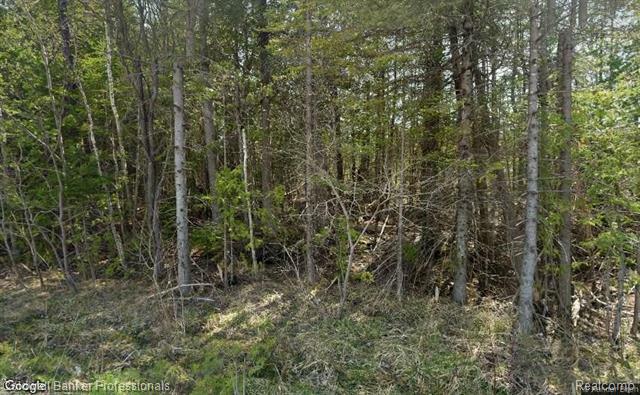 00 Rayburn Highway  Presque Isle Twp MI 49777 photo