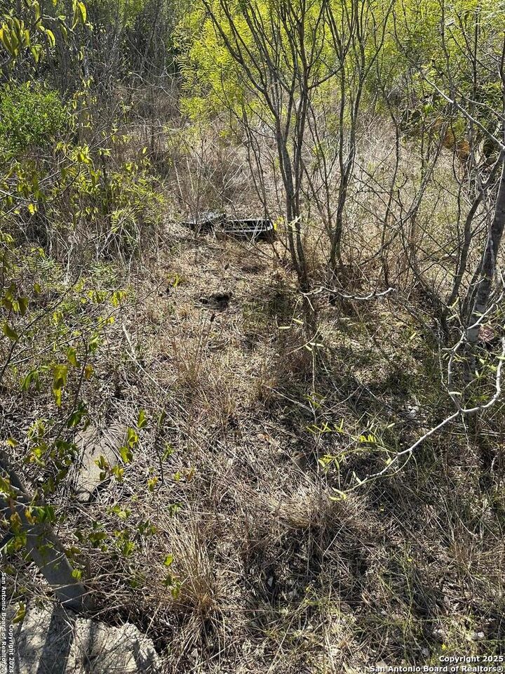 Property Photo: 4435 Stapper Lot 7 TX 78152