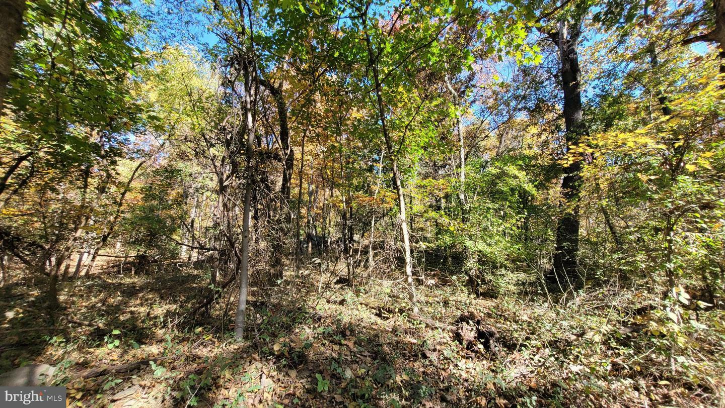 Property Photo:  Parcel 43 Sunshine Trail  MD 21780 