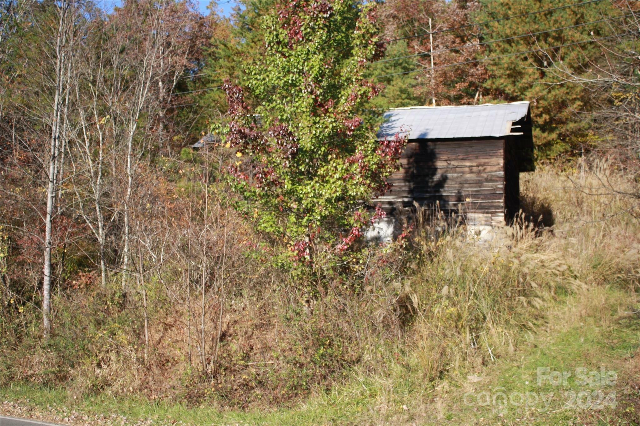 Property Photo:  159 Clarks Chapel Extension  NC 28787 