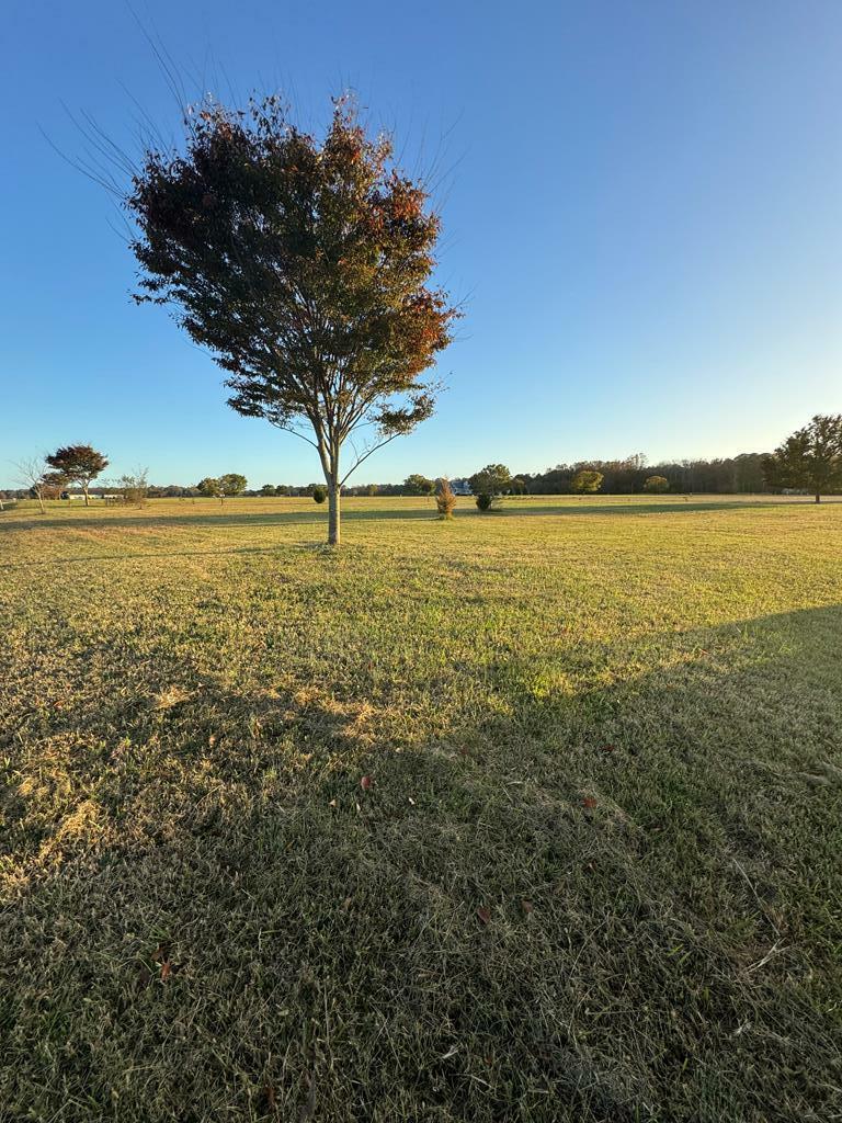 Property Photo: Lot 44 Blue Crab Circle VA 23420