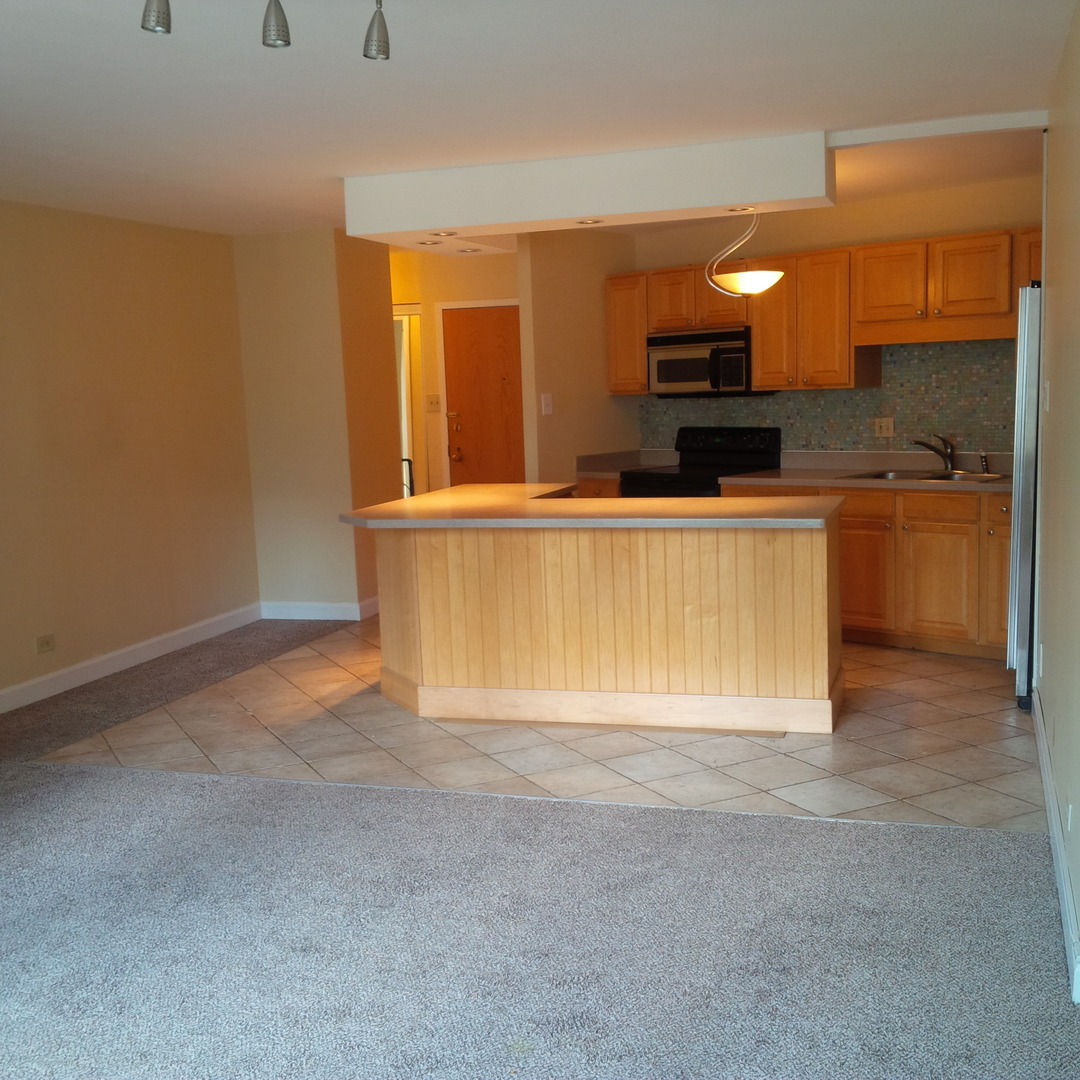 Property Photo:  211 E Ohio Street 1615  IL 60611 