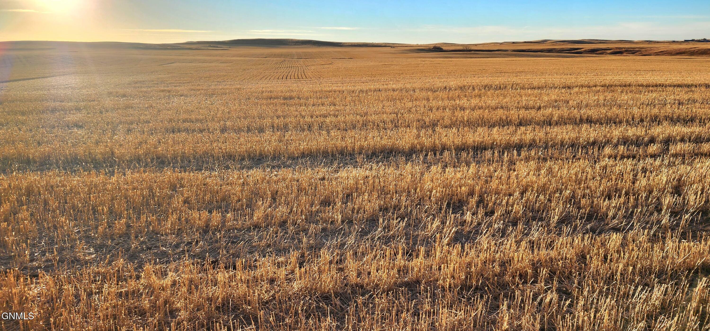 Property Photo:  Tbd State Highway 49  ND 58631 