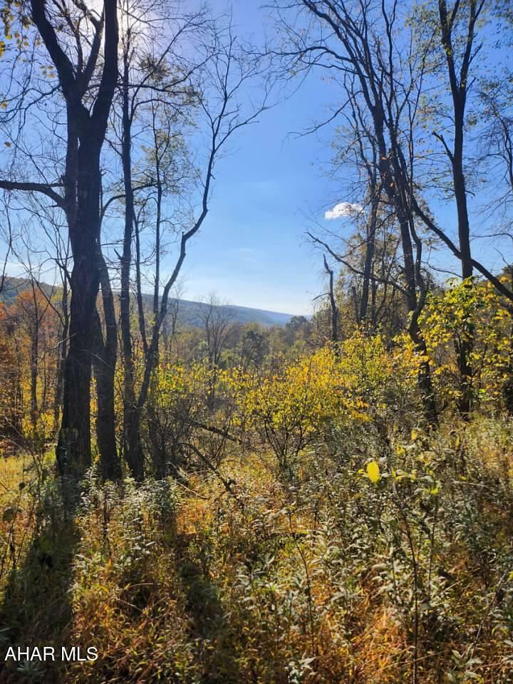 Property Photo:  Lots C1-C4 Natures Symphony Road  PA 16655 