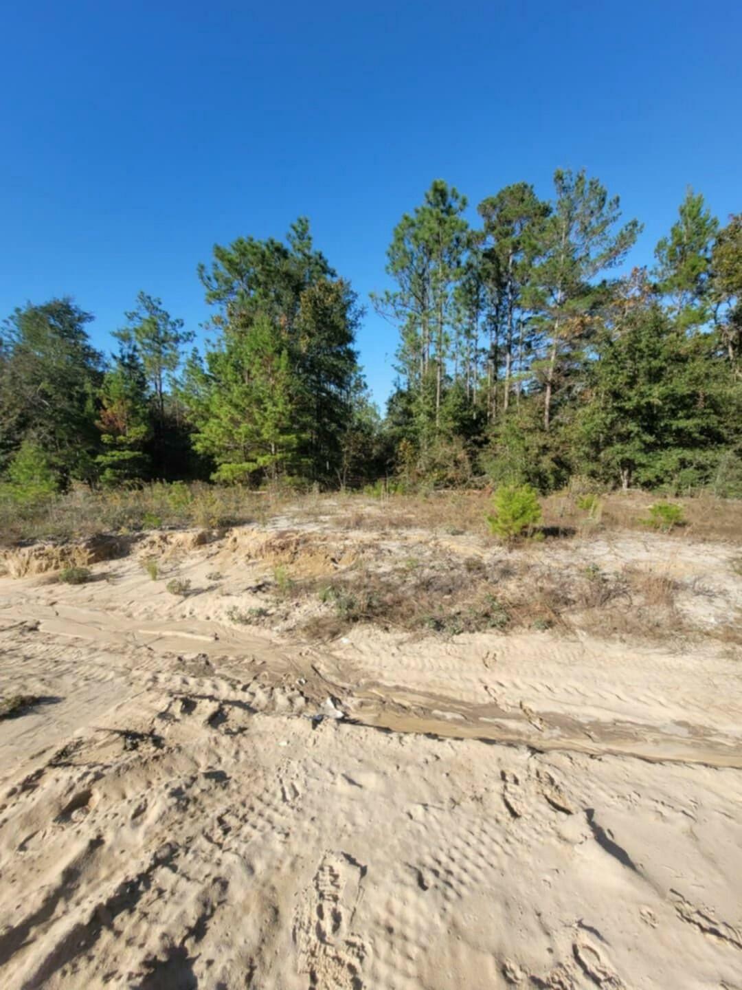 Lot 1 Blk 5 Red Mulberry Lane  Defuniak Springs FL 32433 photo