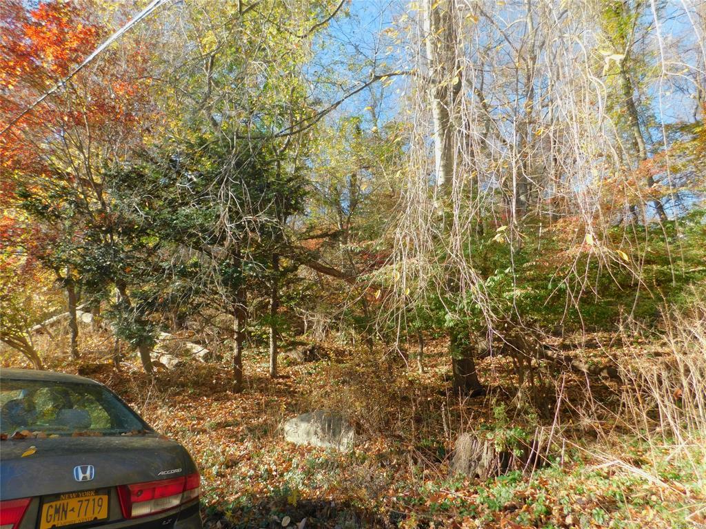 Property Photo:  Lot 25 Enloe Street  NY 10537 