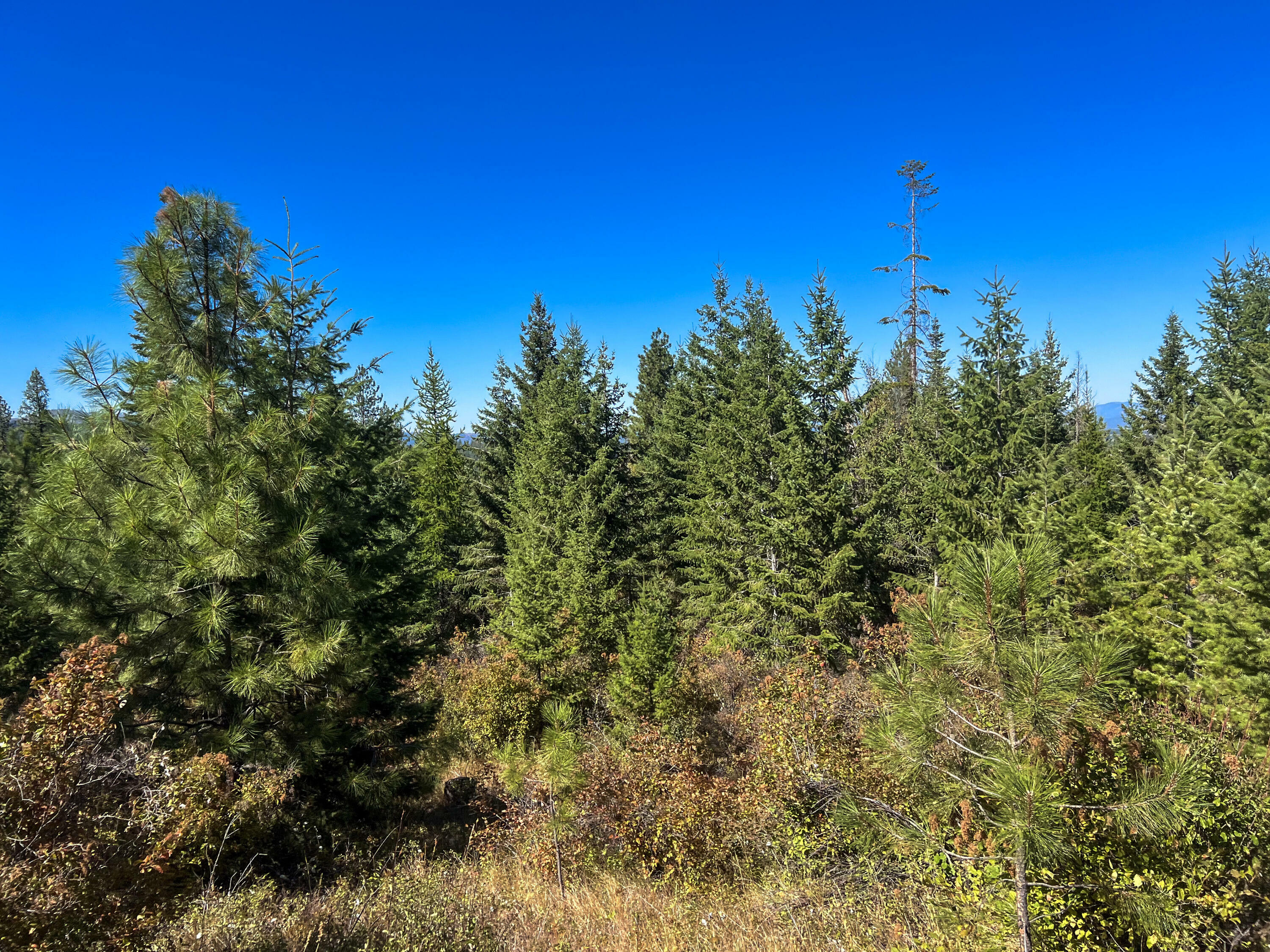 Property Photo:  52xx Lot 5 S Swenson Rd  WA 99006 