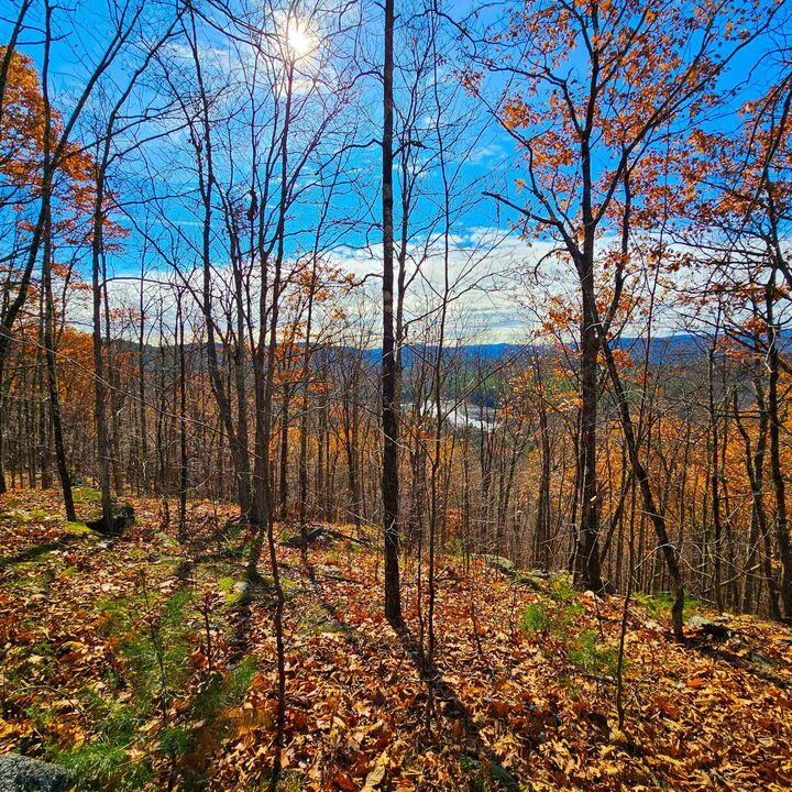 Property Photo: Hall Road VT 05143