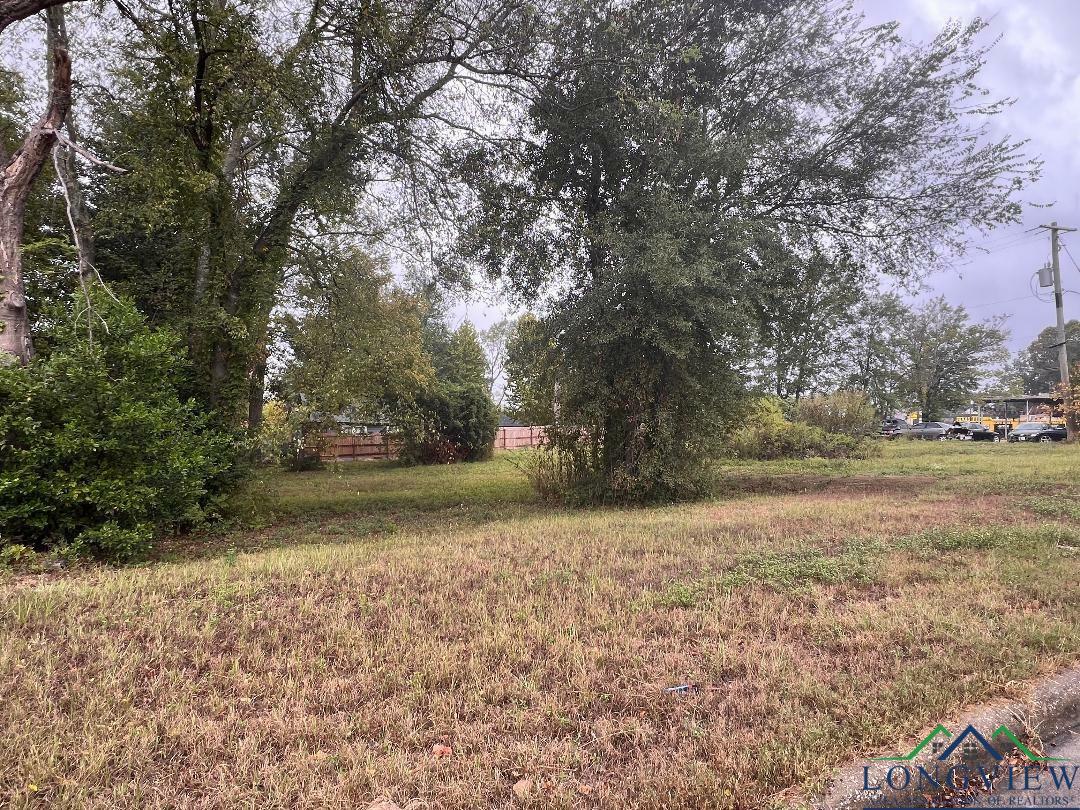 Property Photo:  110 Northcutt  TX 75601 