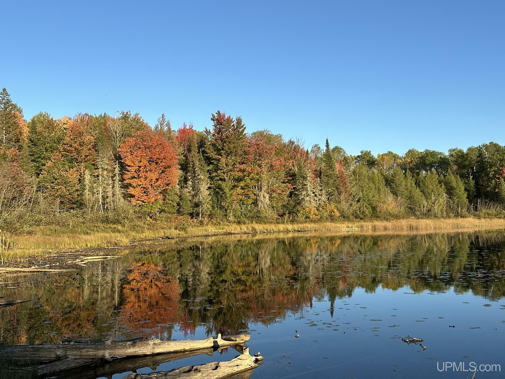 Property Photo:  Tbd Maggie Lakes Trail Trail  MI 49920 