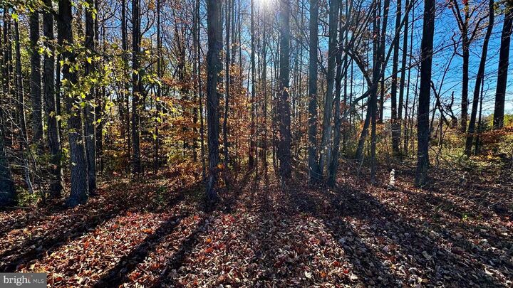 Property Photo: Zacata Rd VA 22520