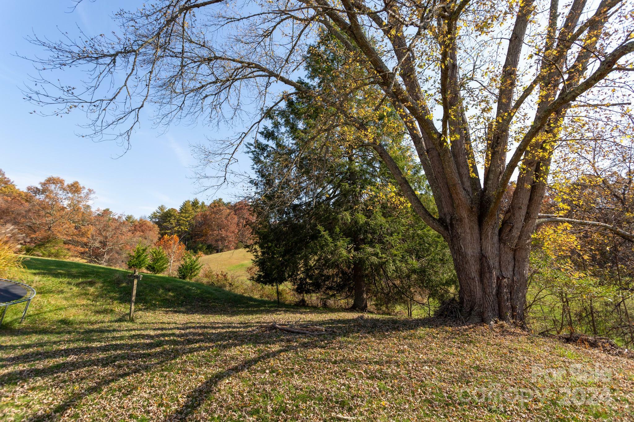 Property Photo:  124 Palmer Ford Road  NC 28787 