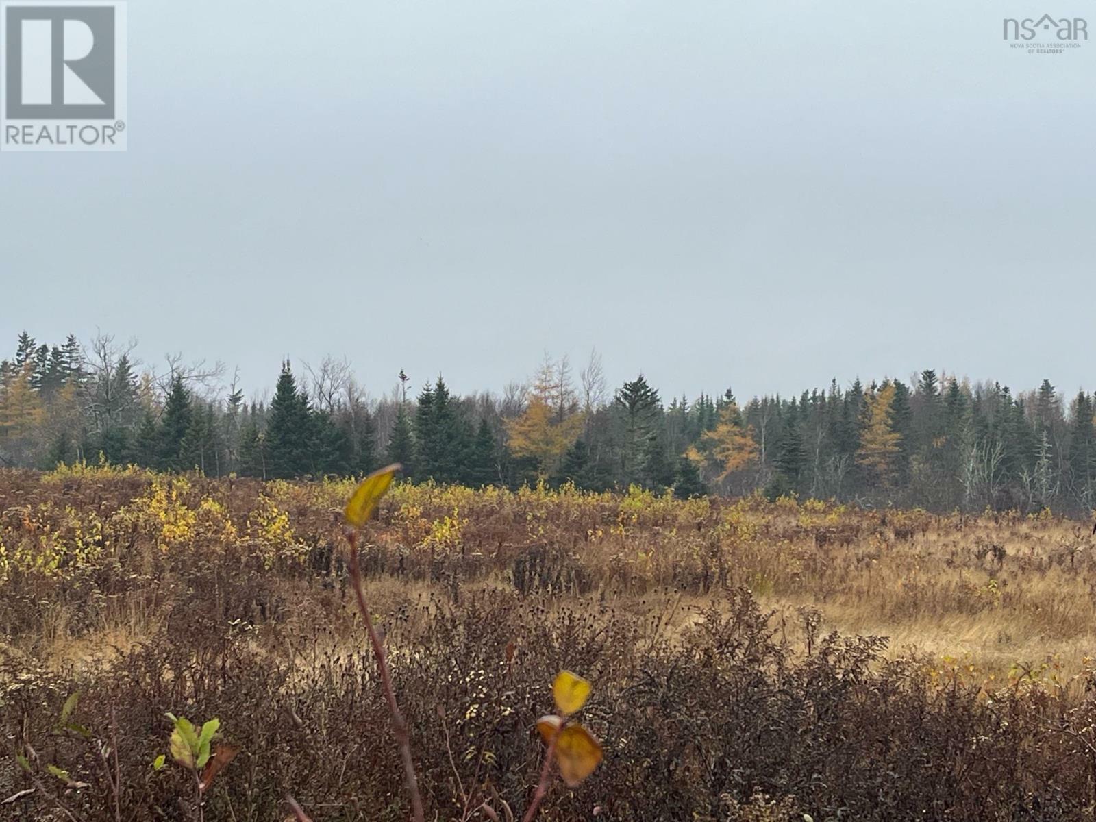 Property Photo:  Old Pictou Road  NS B6L 2L8 