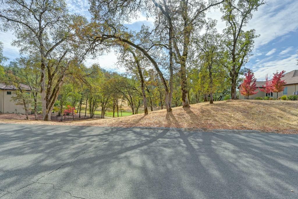 Property Photo:  13042 Austin Forest Circle  CA 95602 