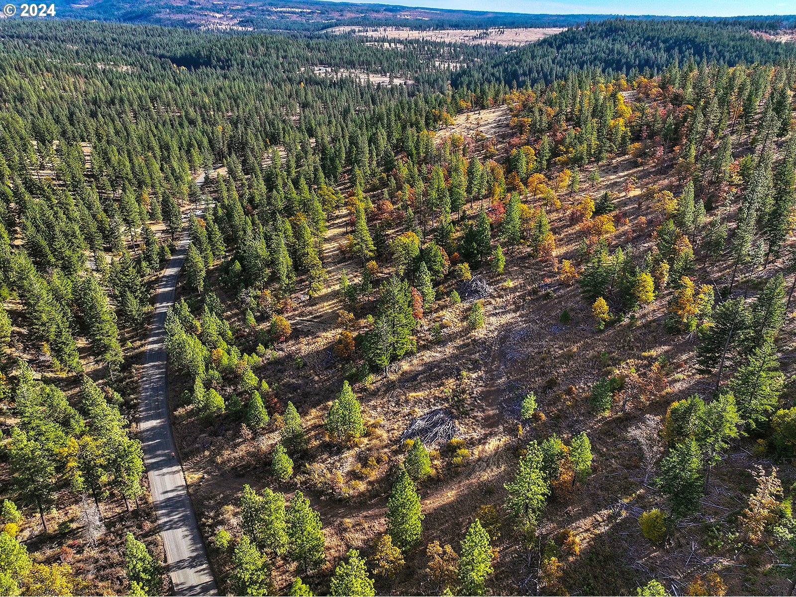 Jenkins Creek Rd  Goldendale WA 98620 photo