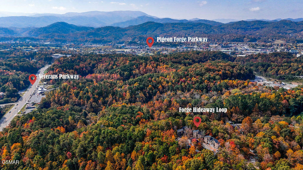 Property Photo: 2385 Forge Hideaway Loop TN 37863