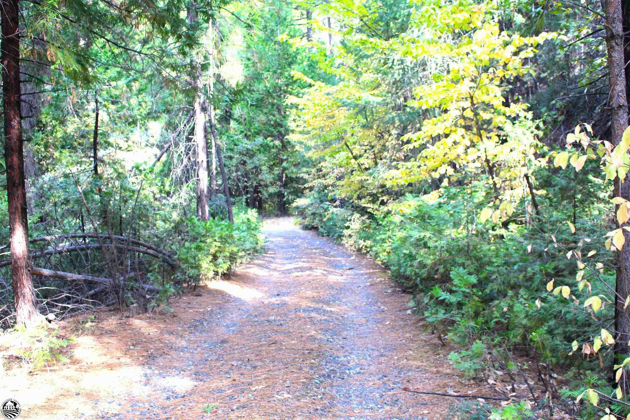 Property Photo:  24455 South Fork Road  CA 95383 