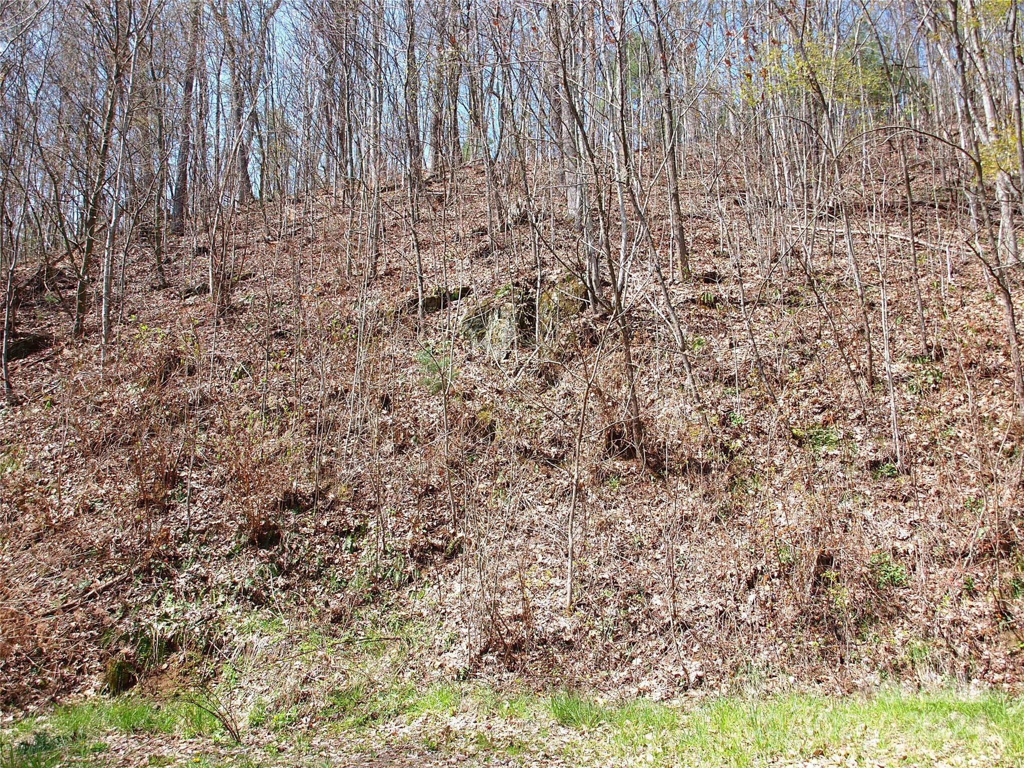 Property Photo:  00 Yonah Trail 7  NC 28785 