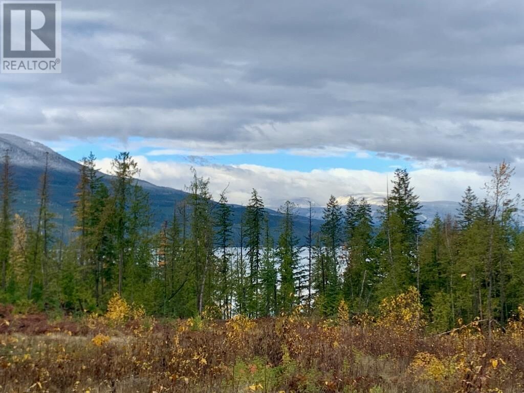 Property Photo:  Lot A 23 Highway  BC V0G 1R0 