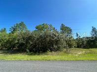 2349 W Oakland Land  Citrus Springs FL 34434 photo