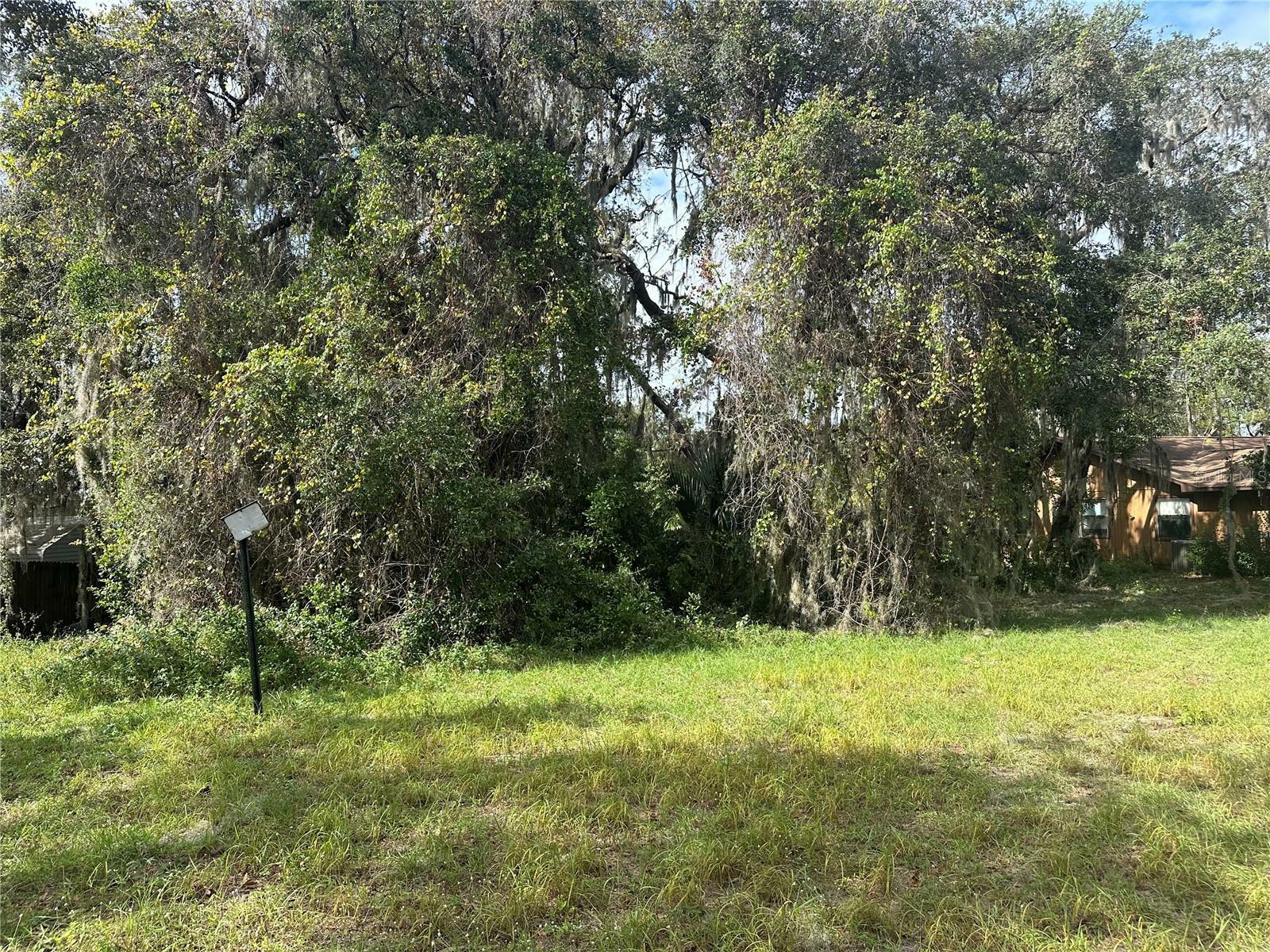 Property Photo:  Luana Drive  FL 34788 