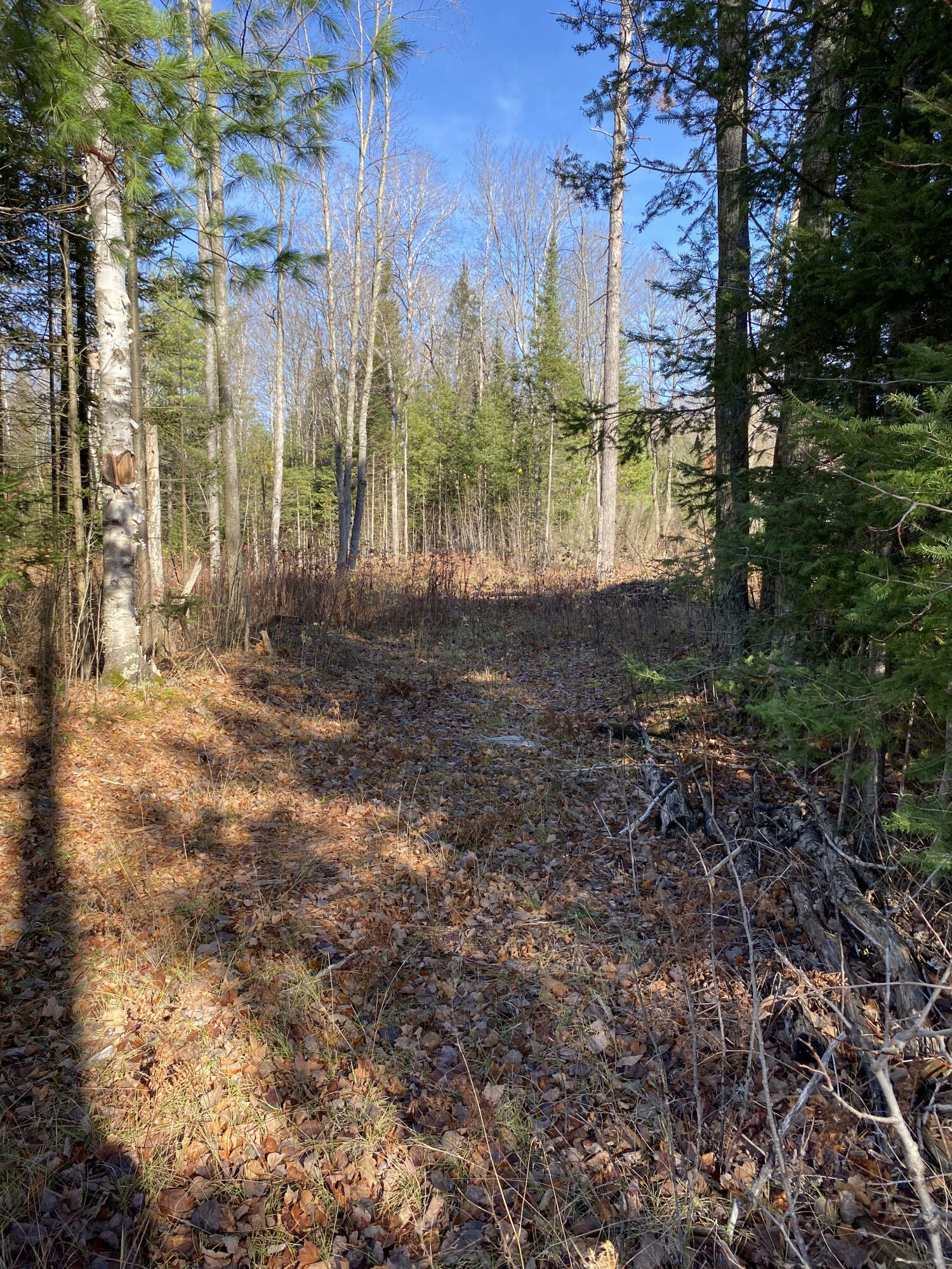 Property Photo:  Nhn McSwain Road 2.29 Acres  MI 49709 