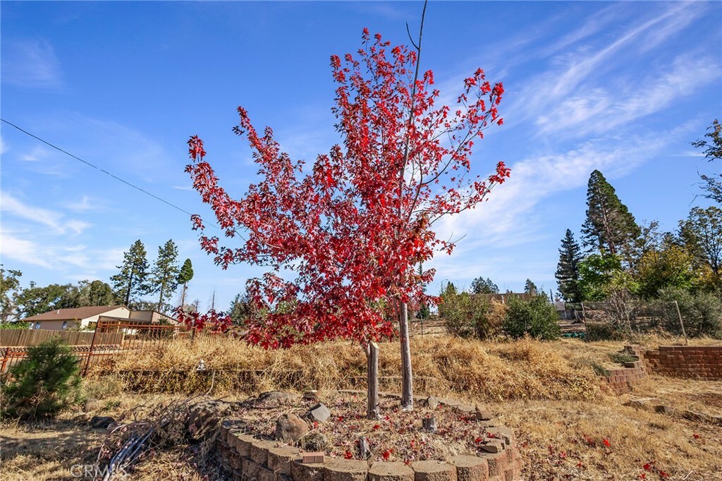 Property Photo:  888 Waggoner Road  CA 95969 