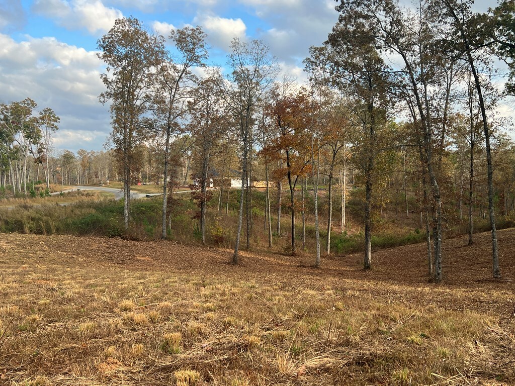 Property Photo:  Lot 104 High River Road  GA 30540 