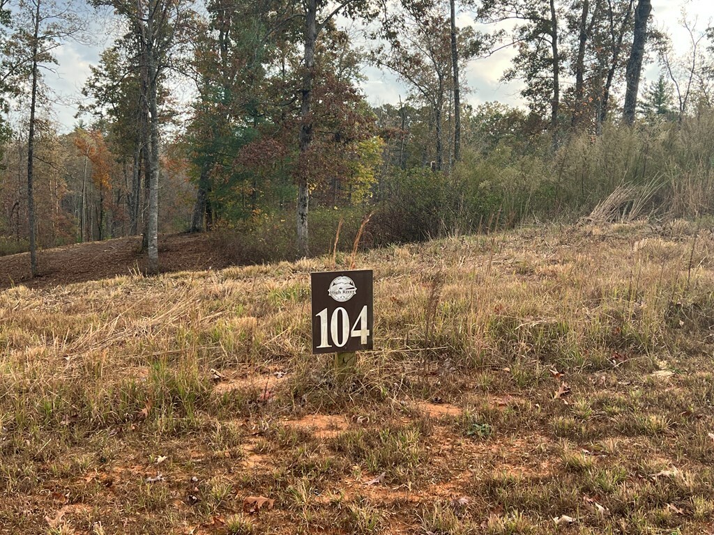 Property Photo:  Lot 104 High River Road  GA 30540 