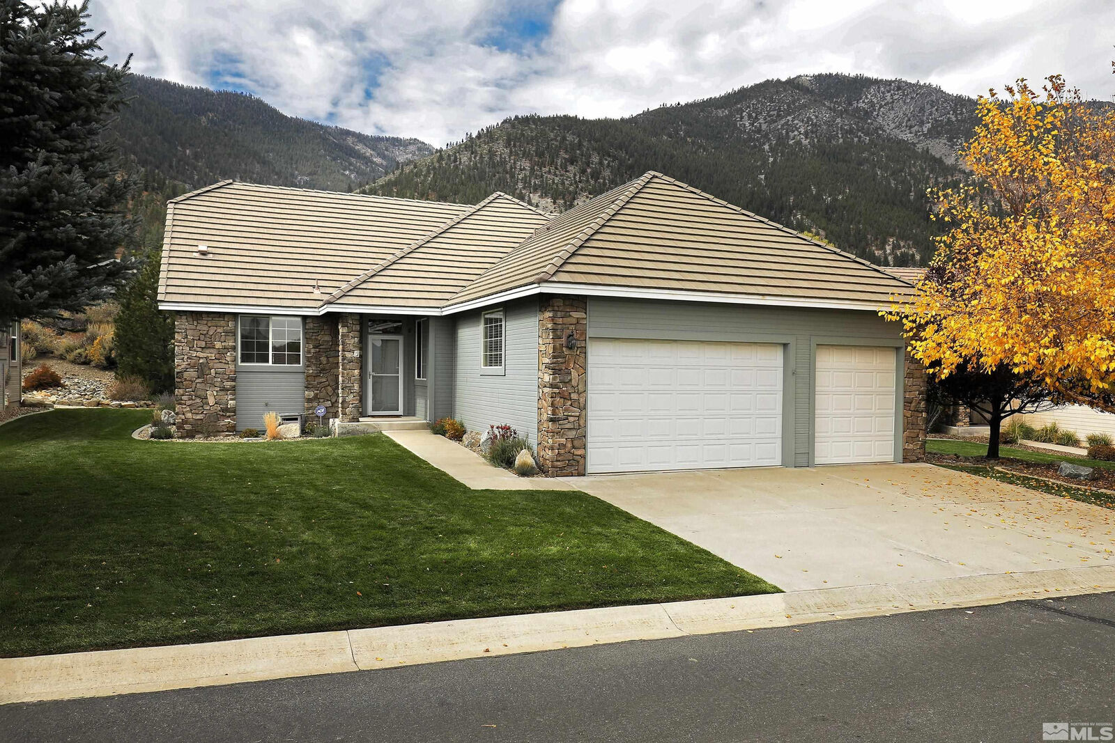 Property Photo:  2456 Genoa Meadows Circle  NV 89411 