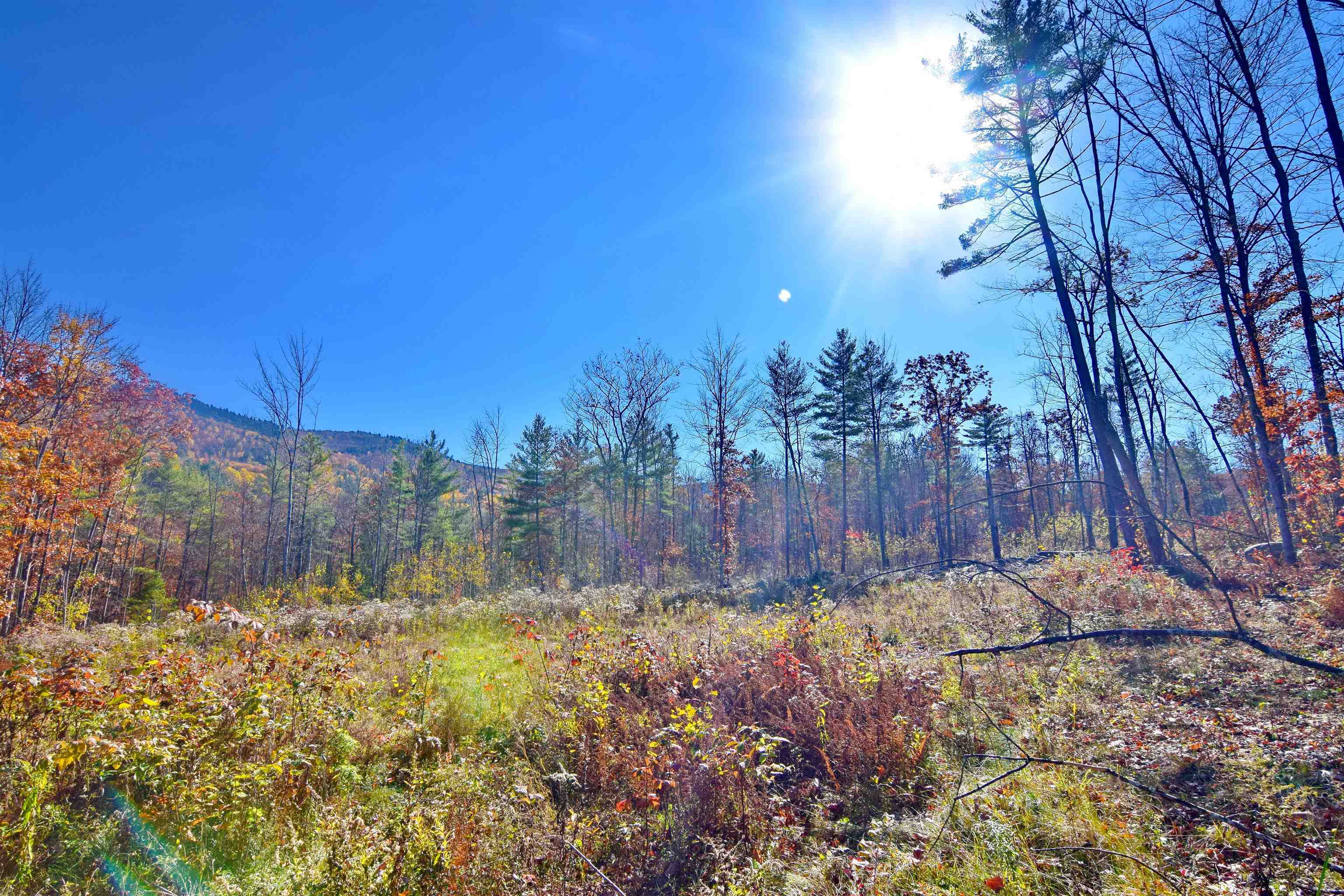 Property Photo:  498 Smutty Hollow Road  NH 03771 