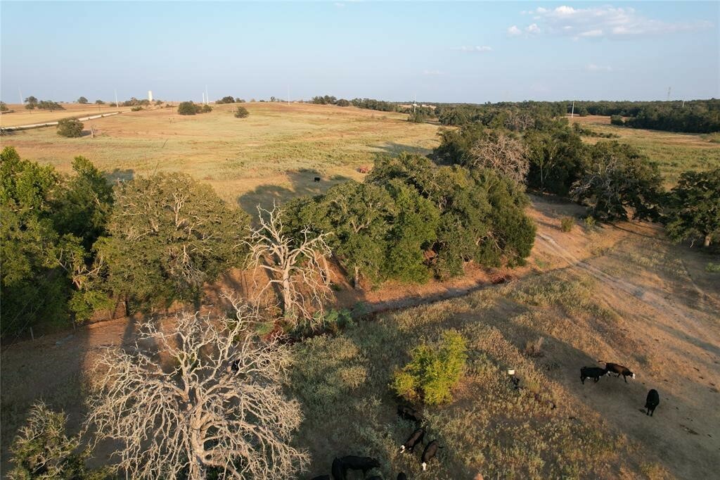 Property Photo:  Tbd Tract 2 County Road 449  TX 76577 