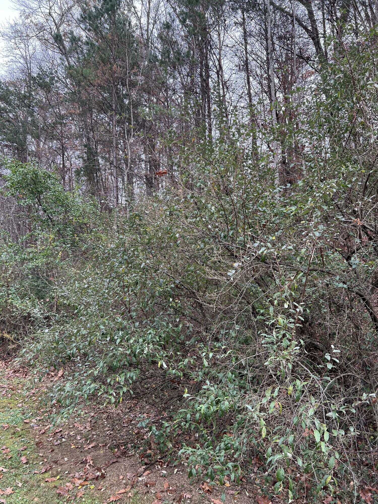 Property Photo:  9999 Brush Arbor Road  KY 40769 