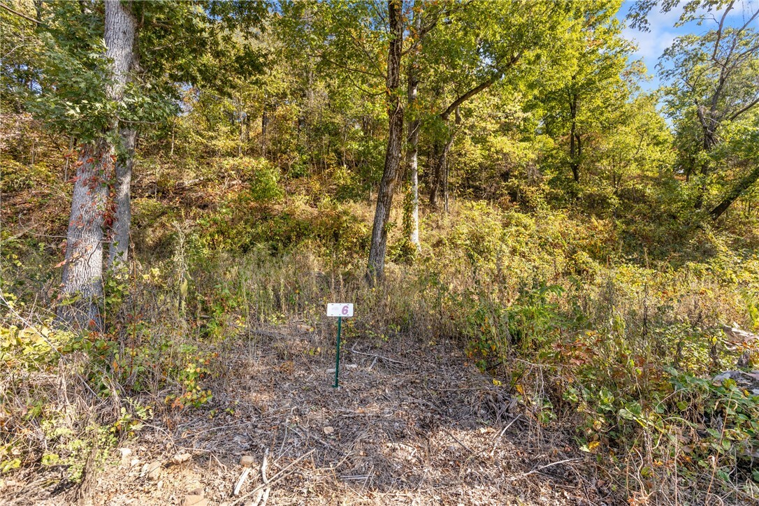 Property Photo:  Lot 6 Peaceful Place  AR 72601 