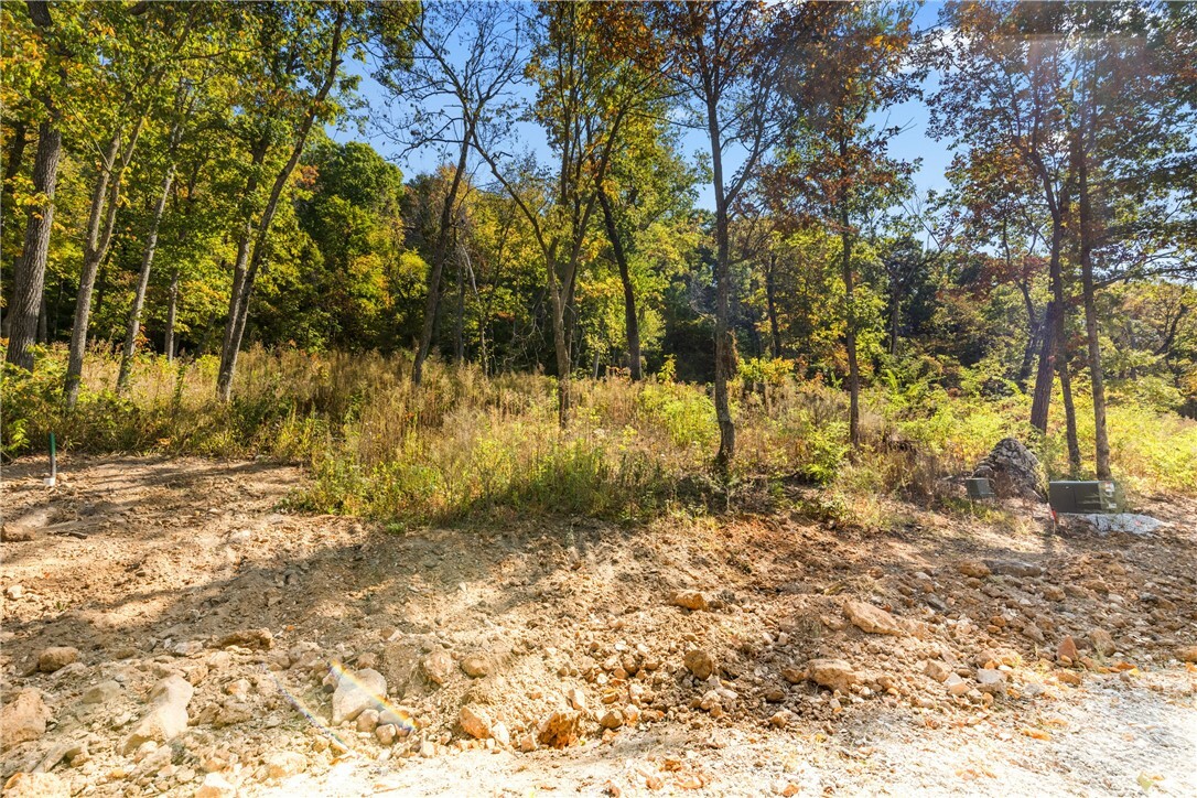 Property Photo:  Lot 4 Significance Summit  AR 72601 