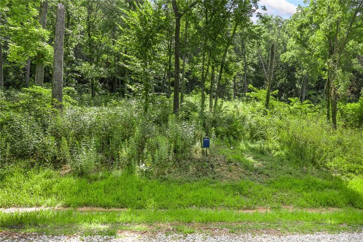 Property Photo: Lot 4 Significance Summit AR 72601