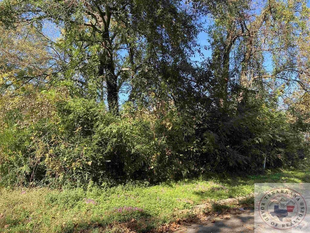 Property Photo:  1020 Capp St  TX 75501 